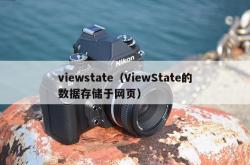 viewstate（viewstate的数据存储于网页）