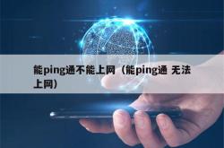 能ping通不能上网（能ping通 无法上网）