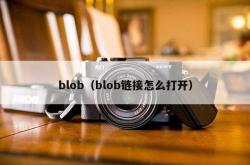 blob（blob链接怎么打开）