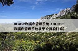 oracle数据库管理系统（oracle数据库管理系统属于应用软件吗）