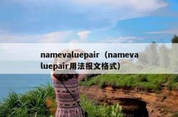 namevaluepair（namevaluepair用法报文格式）