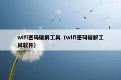 wifi密码破解工具（wifi密码破解工具软件）