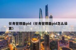 任务管理器pid（任务管理器pid怎么设置）