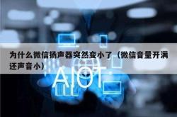 为什么微信扬声器突然变小了（微信音量开满还声音小）