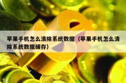 苹果手机怎么清除系统数据（苹果手机怎么清除系统数据缓存）