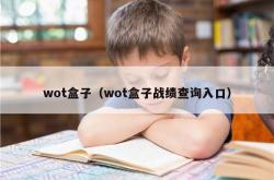 wot盒子（wot盒子战绩查询入口）