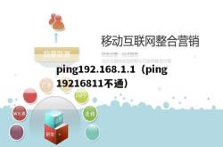 ping192.168.1.1（ping19216811不通）