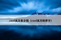 csol关刀多少钱（csol关刀和斧子）