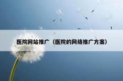 医院网站推广（医院的网络推广方案）