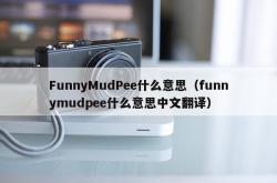 funnymudpee什么意思（funnymudpee什么意思中文翻译）