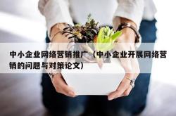 中小企业网络营销推广（中小企业开展网络营销的问题与对策论文）