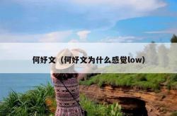 何妤文（何妤文为什么感觉low）