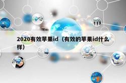 2020有效苹果id（有效的苹果id什么样）