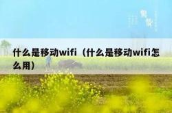 什么是移动wifi（什么是移动wifi怎么用）