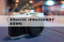 华为ws5100（华为ws5100支持千兆宽带吗）