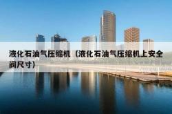 液化石油气压缩机（液化石油气压缩机上安全阀尺寸）