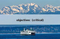 objectivec（critical）