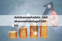 databasemetadata（databasemetadatagettables）