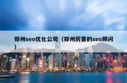 郑州seo优化公司（郑州厉害的seo顾问）