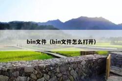 bin文件（bin文件怎么打开）