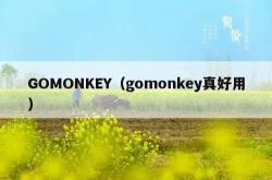 gomonkey（gomonkey真好用）