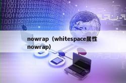 nowrap（whitespace属性 nowrap）