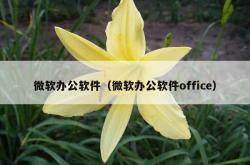 微软办公软件（微软办公软件office）