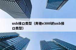 usb接口类型（奔驰e300l的usb接口类型）